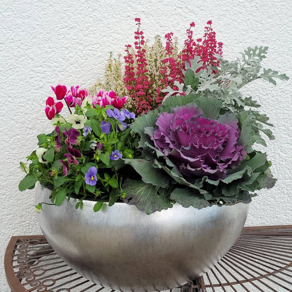 Pflanzschale Blumenschale Silberoptik