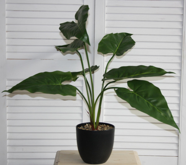 Kunstpflanze "Alocasia" im Topf 60cm