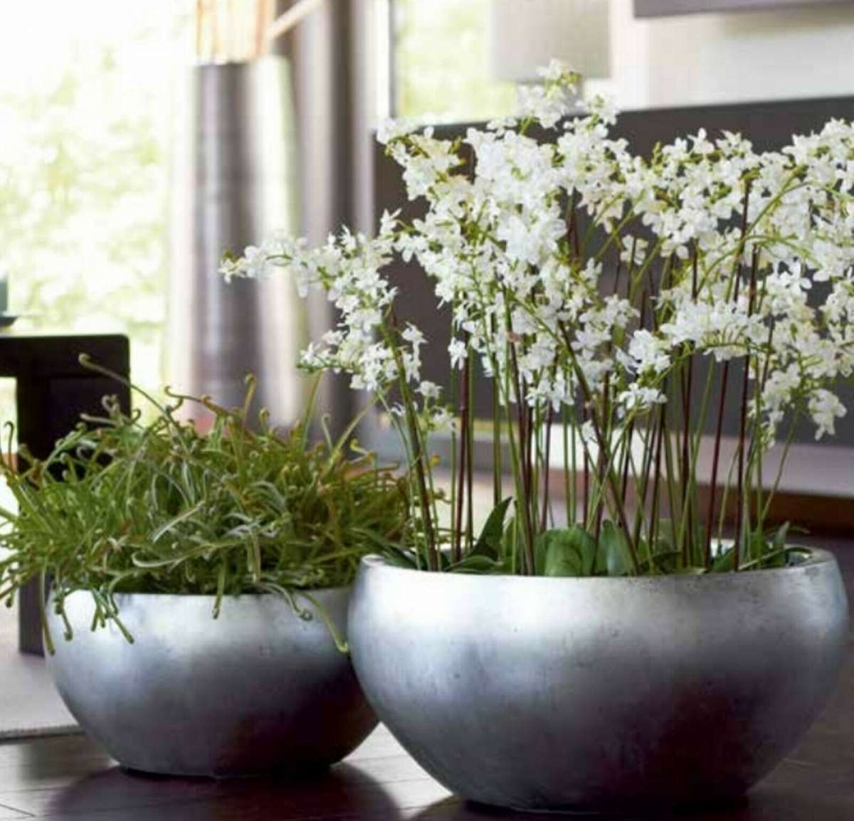 Blumenschale Silberoptik Edeloptik, 40 und 50 cm Pflanztopf Blumentopf Blumenschale