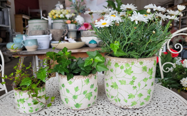 Blumentopf Keramiktopf Keramik Übertopf versch. Größen